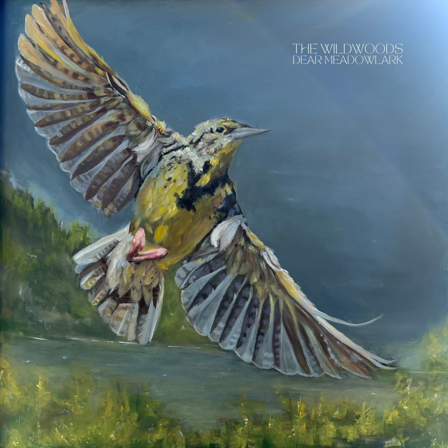 Dear Meadowlark Vinyl