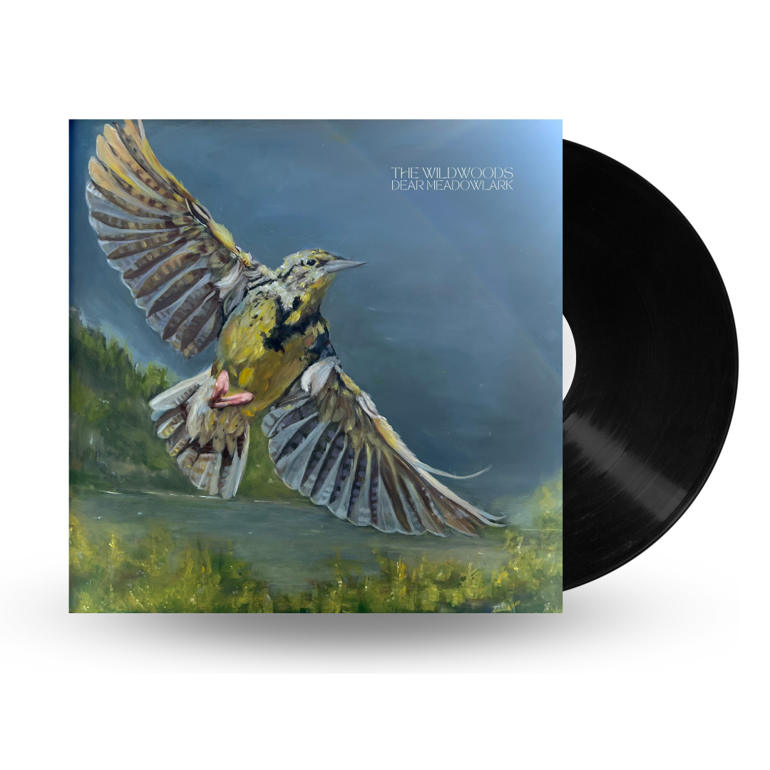 Dear Meadowlark Vinyl