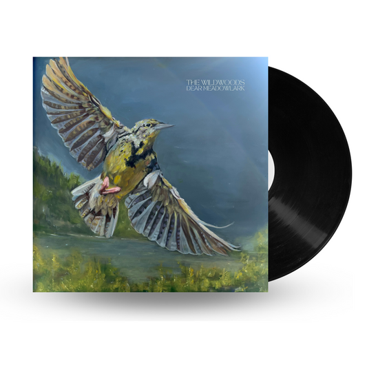 Dear Meadowlark Vinyl